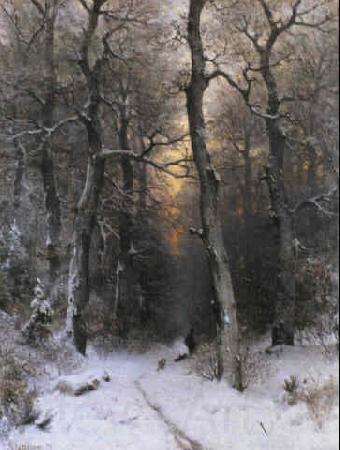 unknow artist Sunset in the Forest Spain oil painting art